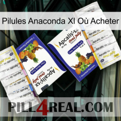 Pilules Anaconda Xl Où Acheter 12